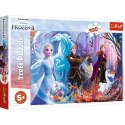 Puzzle Trefl Frozen kraina przyjażni 100 el. (16366) Trefl