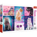 Puzzle Trefl Super cats Neon Color Line 1000 el. (10581) Trefl