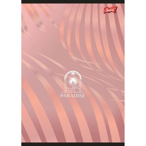 Zeszyt paradis A5 96k. 70g krata Unipap Unipap