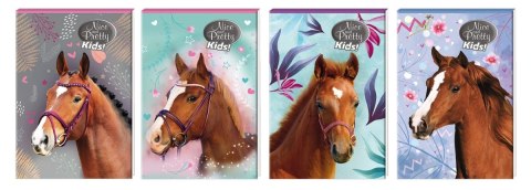 Notes (notatnik) Nice&Pretty A6 30k. [mm:] 102x148 Beniamin (6094494) Beniamin