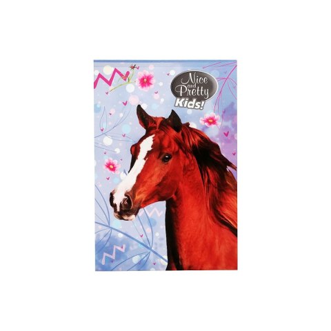 Notes (notatnik) Nice&Pretty A6 30k. [mm:] 102x148 Beniamin (6094494) Beniamin