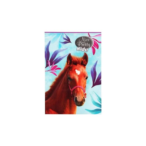 Notes (notatnik) Nice&Pretty A6 30k. [mm:] 102x148 Beniamin (6094494) Beniamin