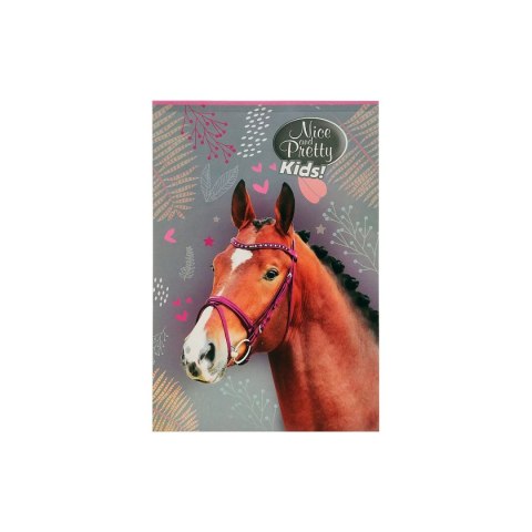 Notes (notatnik) Nice&Pretty A6 30k. [mm:] 102x148 Beniamin (6094494) Beniamin