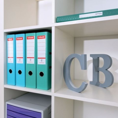 Segregator dźwigniowy No.1 Colour Breeze A4 75mm niebieski Esselte (626504) Esselte