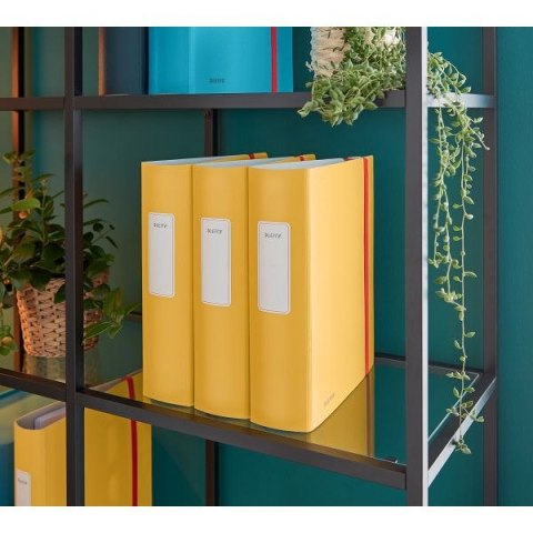 Segregator dźwigniowy Cosy Active A4 80mm żółty Leitz (10380019) Leitz