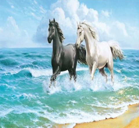 Zestaw kreatywny Diamentowa mozaika 30x40cm Konie 2 Flamingo Line (TMS29511) Flamingo Line