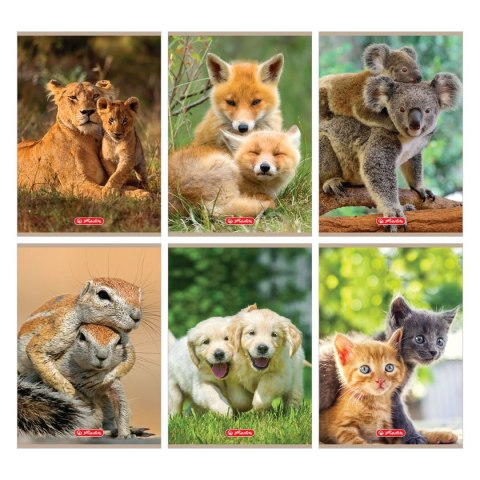 Zeszyt Animals 9583071 A5 32k. 70g linia Herlitz (400197969) Herlitz