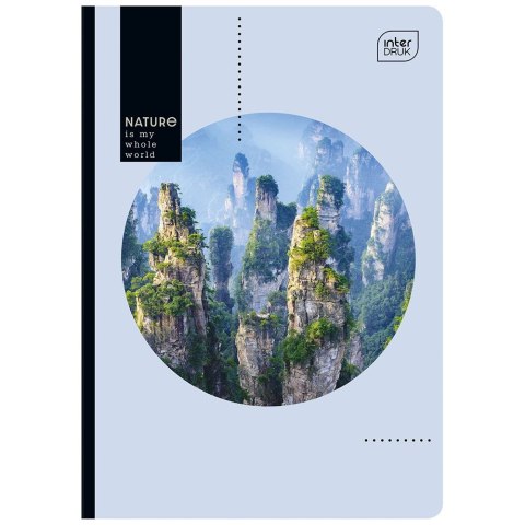 Zeszyt A5 80k. 70g krata Interdruk (ZE80KF#) Interdruk