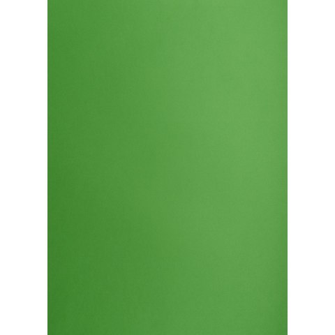 Brystol zielony B1 Zielony 225g 1k Creatinio (400150268) Creatinio