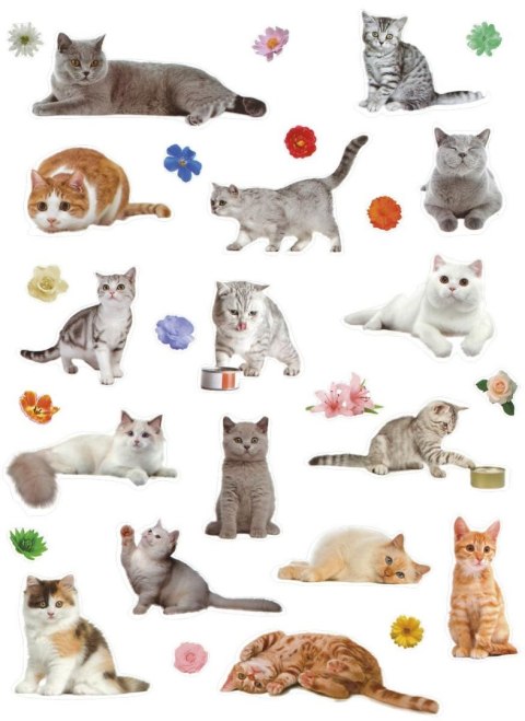 Naklejka (nalepka) Craft-Fun Series Koty Titanum Titanum