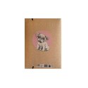 Teczka kartonowa na gumkę Kraft Liner A4 różne Beniamin Beniamin