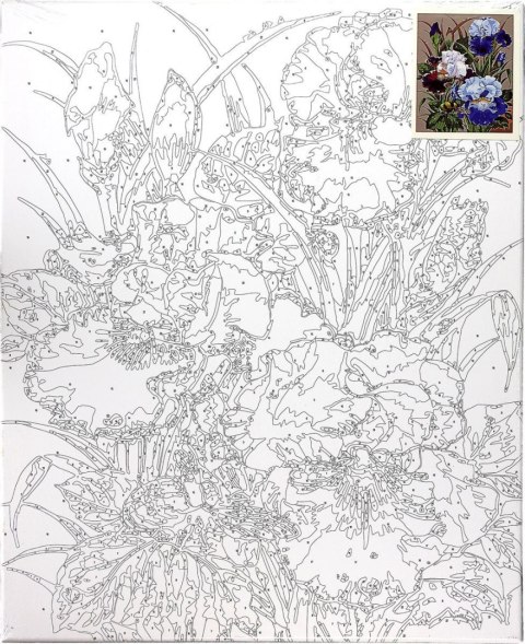 Zestaw kreatywny Malowanie po numerach 40x50cm Irysy Flamingo Line (FYS174) Flamingo Line