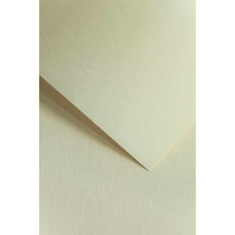 Papier ozdobny (wizytówkowy) batyst kremowy A4 kremowy 180g Galeria Papieru (204112) Galeria Papieru