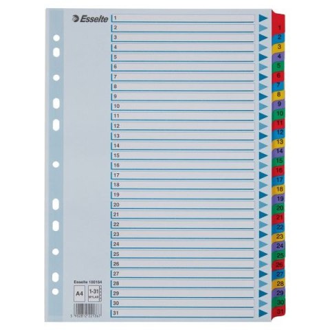 Przekładka numeryczna Esselte Mylar kartonowe A4 mix kolorów 160g 31k 1-31 (100164) Esselte