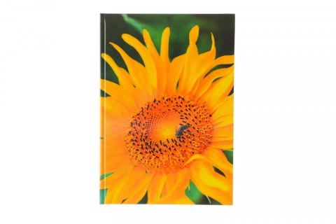 Brulion A4 mix 160k. krata Sdm Sdm