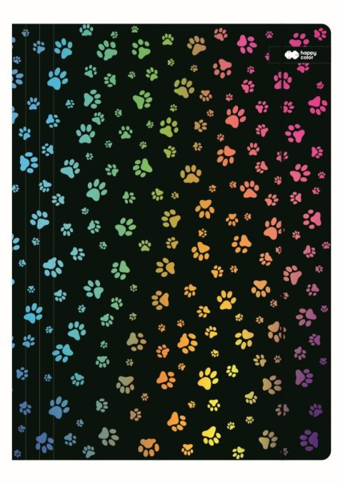 Teczka kartonowa na gumkę mix [mm:] 240x310 Happy Color (HA 7621 2431-MA1) Happy Color