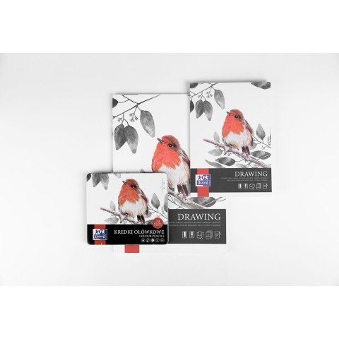 Kredki ołówkowe metal box 24 kol. Oxford (400174560) Oxford