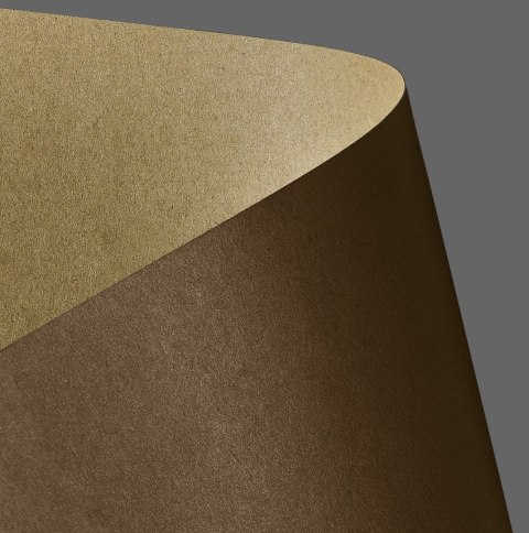 Papier ozdobny (wizytówkowy) A4 kraft brązowy brązowy 275g Galeria Papieru (204418) Galeria Papieru