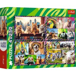 Puzzle Trefl zwierzaki 4x250 el. (13313) Trefl