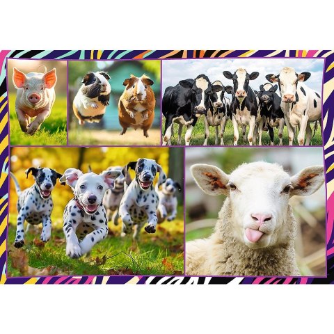 Puzzle zwierzaki 4x250 el. Trefl (13313) Trefl