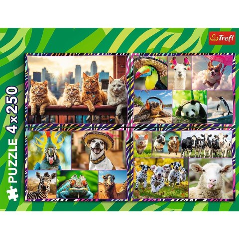 Puzzle zwierzaki 4x250 el. Trefl (13313) Trefl