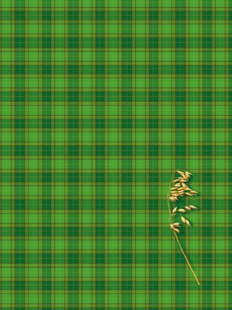 Brulion A4 200k. krata Kreska Kreska