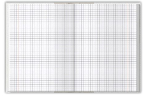 Brulion colors niebieski A4 96k. 70g krata Top 2000 (400169205) Top 2000