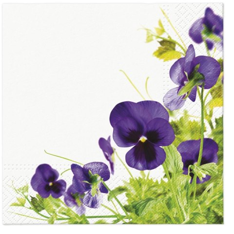 Serwetki Paw Tete Pansies Frame mix nadruk bibuła [mm:] 330x330 (TL121900) Paw