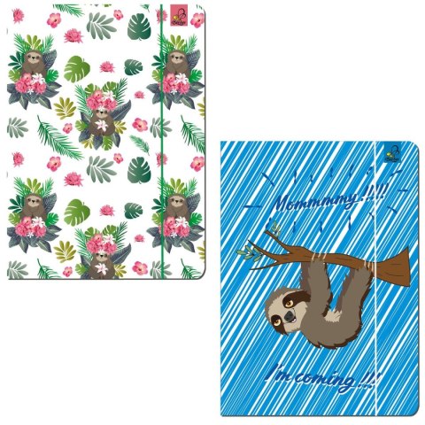 Teczka kartonowa na gumkę A4 mix Ev-corp (BB24214964) Ev-corp