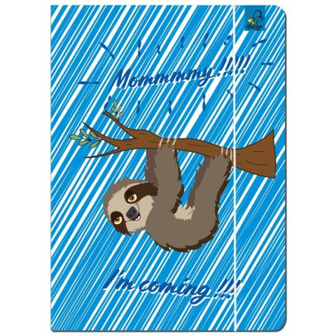 Teczka kartonowa na gumkę A4 mix Ev-corp (BB24214964) Ev-corp