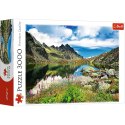 Puzzle STAROLEŚNIAŃSKI STAW 3000 el. Trefl (33031) Trefl