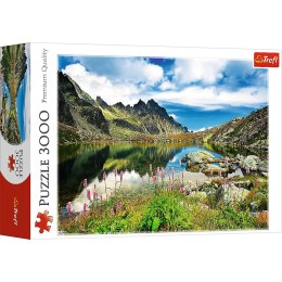 Puzzle Trefl STAROLEŚNIAŃSKI STAW 3000 el. (33031) Trefl