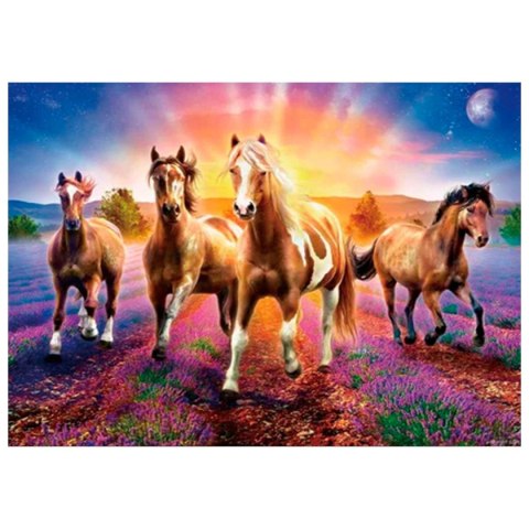 Zestaw kreatywny Diamentowa mozaika 30x40cm Konie 5 Flamingo Line (TG2265-05) Flamingo Line