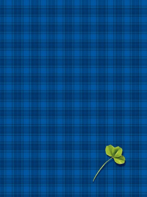 Brulion A4 300k. krata Kreska Kreska