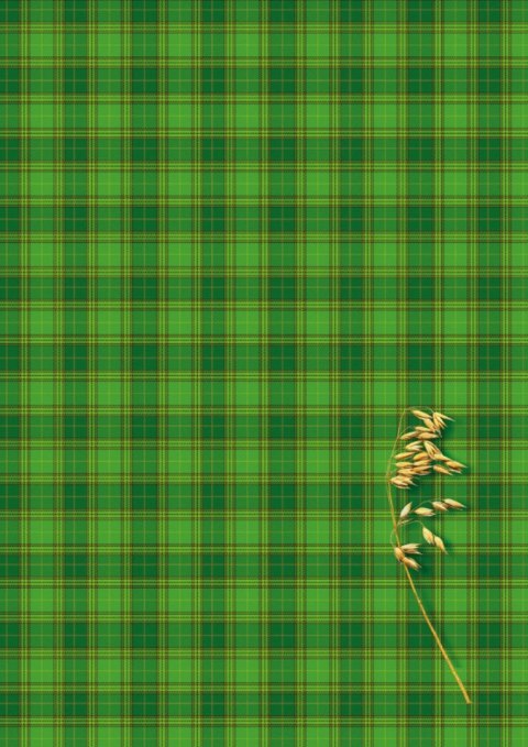 Brulion A4 300k. krata Kreska Kreska