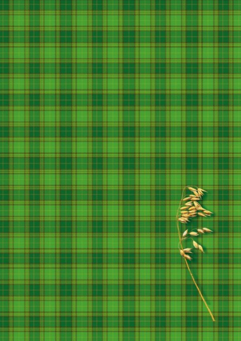 Brulion A4 300k. krata Kreska Kreska