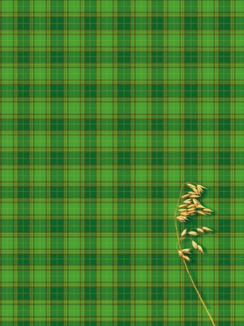 Brulion A4 300k. krata Kreska Kreska