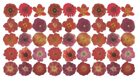 Naklejka (nalepka) Craft-Fun Series Naklejki papierowe Titanum (24XQ0501-13) Titanum