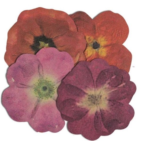 Naklejka (nalepka) Craft-Fun Series Naklejki papierowe Titanum (24XQ0501-13) Titanum