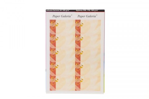 Papier ozdobny (wizytówkowy) Akant A4 Galeria Papieru Galeria Papieru