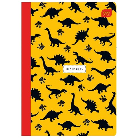 Zeszyt TRENDS BOYS A5 16k. 70g krata Interdruk (ZE16KF#) Interdruk