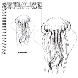 Blok artystyczny Narcissus szkicownik meduza B5 120g 60k Narcissus