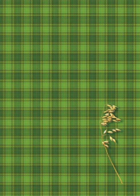 Brulion B5 160k. krata Kreska Kreska