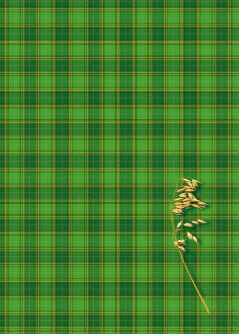 Brulion B5 160k. krata Kreska Kreska