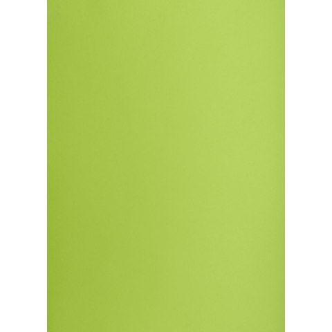 Brystol zielony jasny B1 zielony jasny 225g 1k Creatinio (400150267) Creatinio