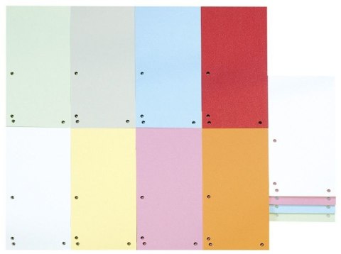 Przekładka czysta 1/3 A4 pomarańczowa 190g 100k Donau (8620100-12PL) Donau