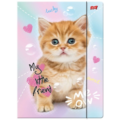 Teczka kartonowa na gumkę MY LITTLE FRIEND A4 mix 300g Unipap Unipap