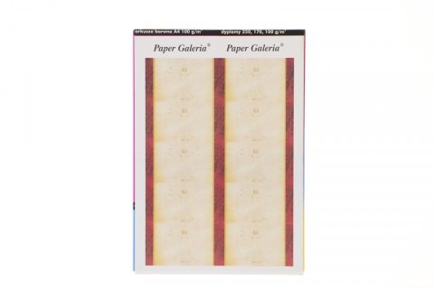 Papier ozdobny (wizytówkowy) Leonardo A4 Galeria Papieru Galeria Papieru