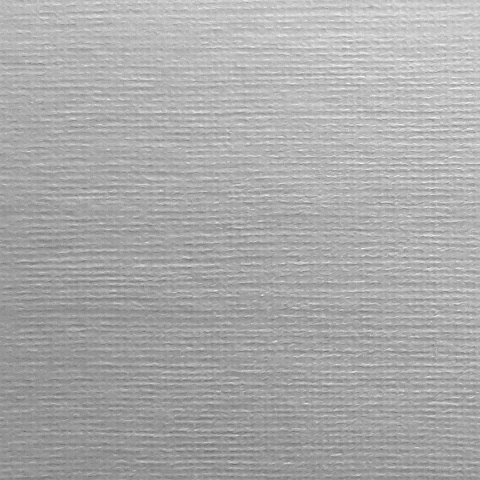 Papier ozdobny (wizytówkowy) płótno A4 biały 100g Protos Protos