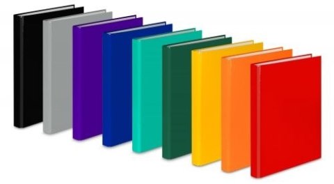 Segregator ringowy A4 25mm pomarańczowy VauPe (067/16) VauPe